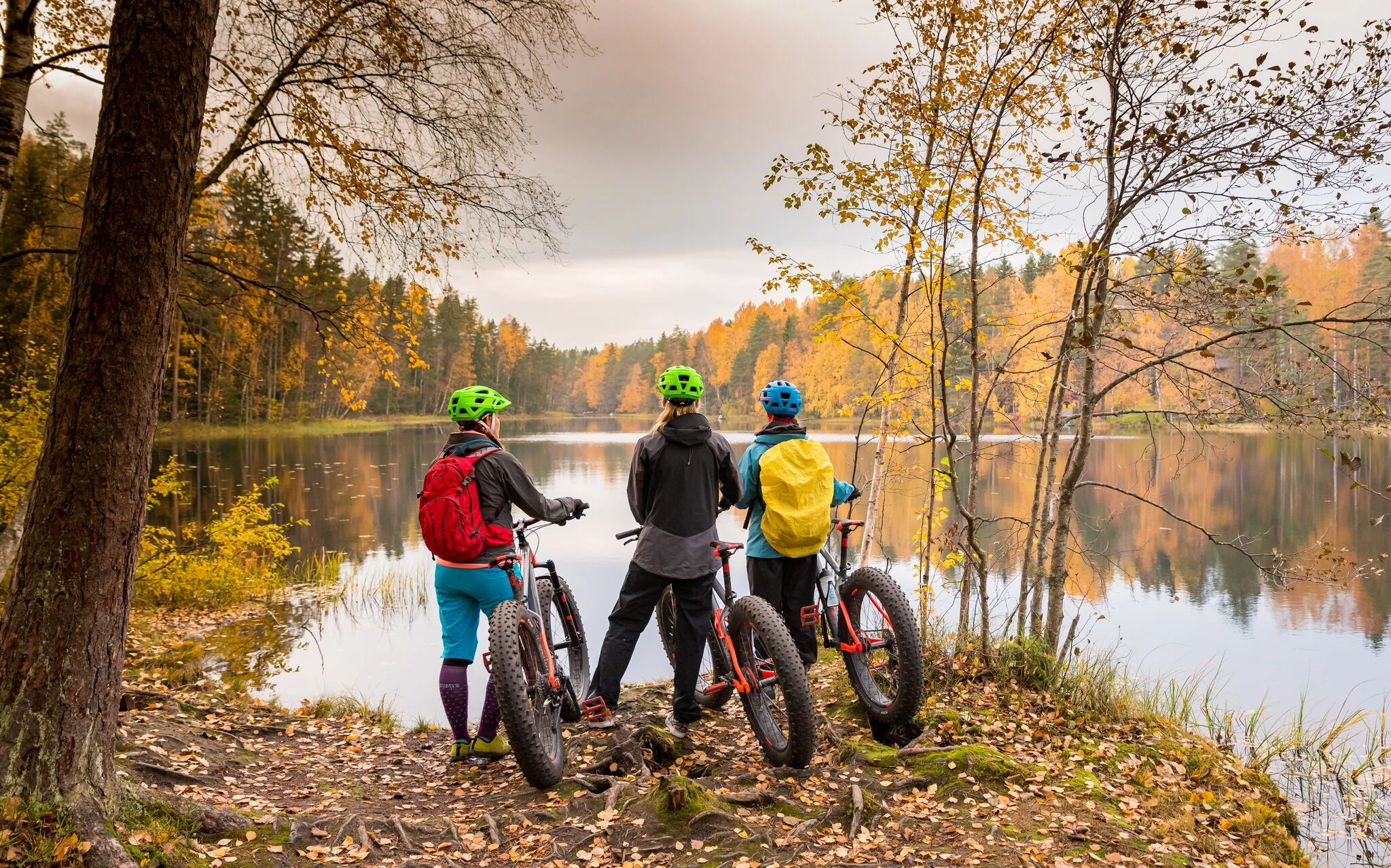 Get to know electric mountain bikes (2,5 h) with your own bike Biking